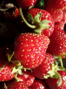 Strawberries