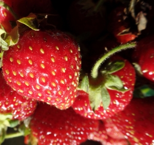 Strawberries are great cleansers, they clean and close the pores due to salicylic acid, that removes the dead skin cells. Antioxidant ellagic acid helps with maintaining health and youth of your skin. Astringent agents and vitamin C in strawberries help to calm and sooth puffiness and circles under your eyes and also help with regenerating the new cells.