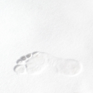 One of my favorite things about the winter season is snow! When I see snow, it means I can start my daily barefoot runs. I run to my mailbox and back. I don’t really know how it started for me…. When I moved to Cable 14 years ago, I remember going to my garage with a load of firewood while barefoot. I just enjoyed this intense tingling feeling your feet get. The circulation is increased and you can feel the heat in your body afterwards. It makes me feel full of energy, awake, and it also stimulates the release of serotonin and endorphins. I even end up getting a little happy boost from it too!