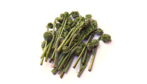 Right now, in the late May forest, the green fronds of ostrich fern are unfurling; so why not catch the fiddleheads while some of them are still curled in a ball! This plant is called Matteuccia Struthiopteros, which combines both Latin “struthio” – ostrich, and Greek “pteris” – wing. This plant also goes by the name fiddleheads, that comes from the fact that rolled coiled tips of it resemble the violin handle. You snap fresh heads and fill your basket with nutritious green, just make sure you take only one or two stems from one plant.
