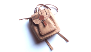 Cork backpack