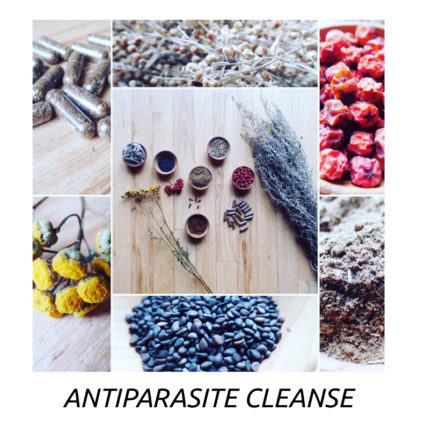 Antiparasite Cleanse Video