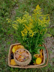 Goldenrod