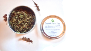 Sweetfern tea