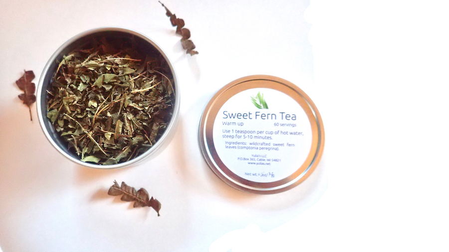 Sweetfern tea – wild tonic in your cup