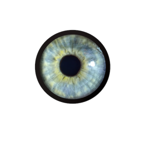 Iridology Session